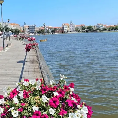 Terrace Praia de Mira
