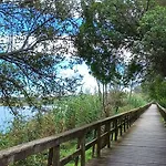 公寓 Terrace