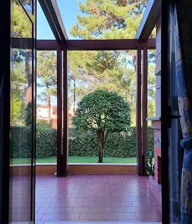 Terrace Apartment