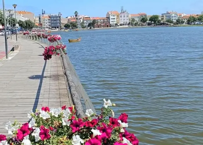 Terrace Praia de Mira